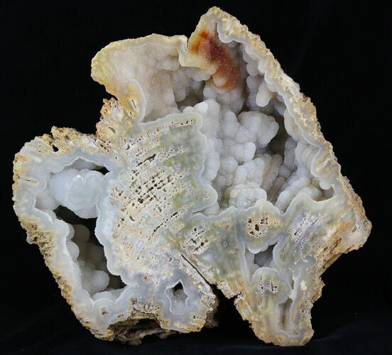 Agatized Fossil Coral With Druzy Quartz - Florida #30702